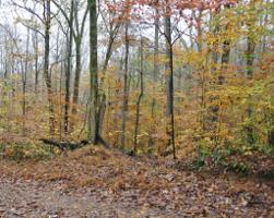 0 Dogwood Rd