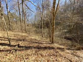 Lot 39 Harbor Dr