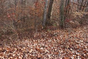 106 Holiday Haven Dr