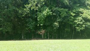 0 Damron Road  Lot 61