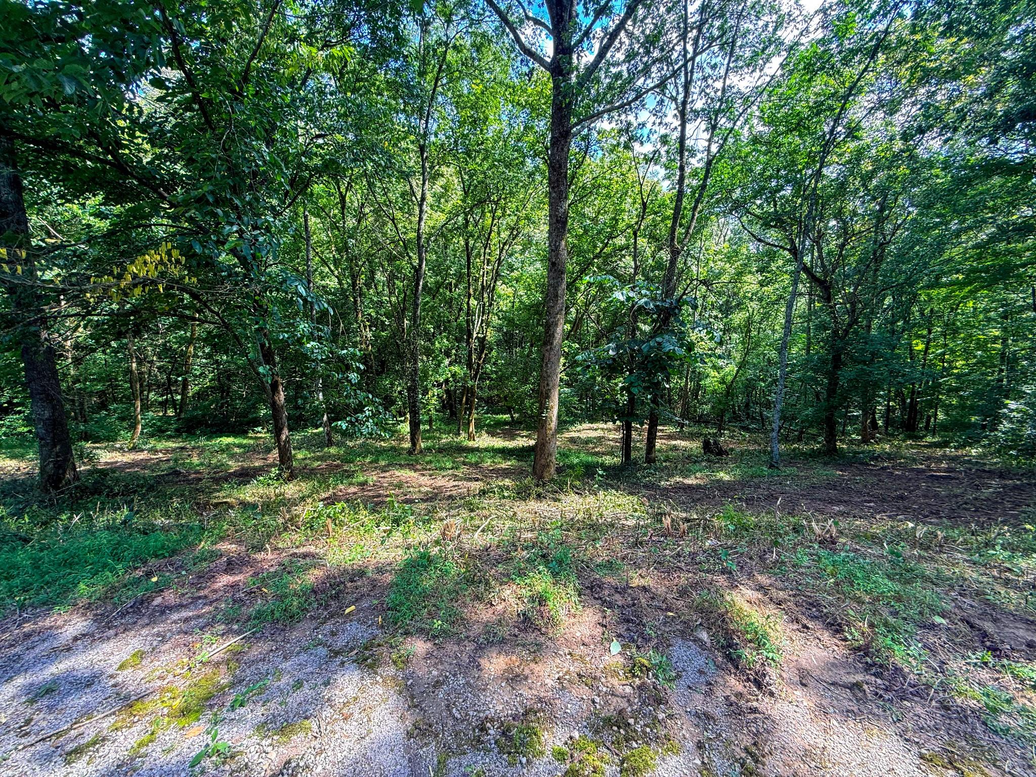 Image 1 Image 1