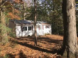 217 Timbertops Dr