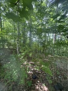 4 Arrowhead Dr