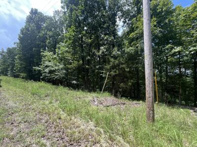 0 Eagle View Dr