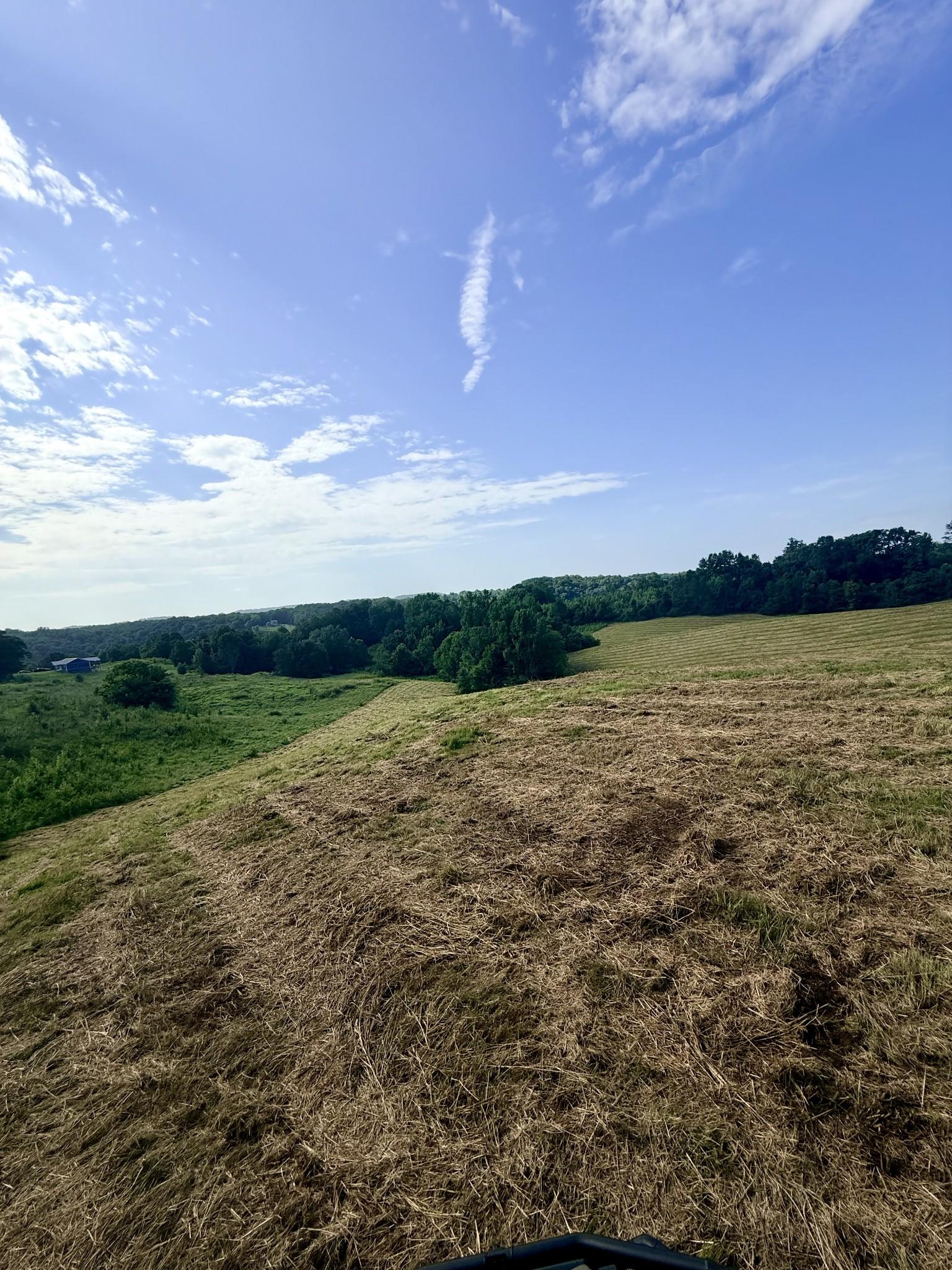 Image 3 Image 3