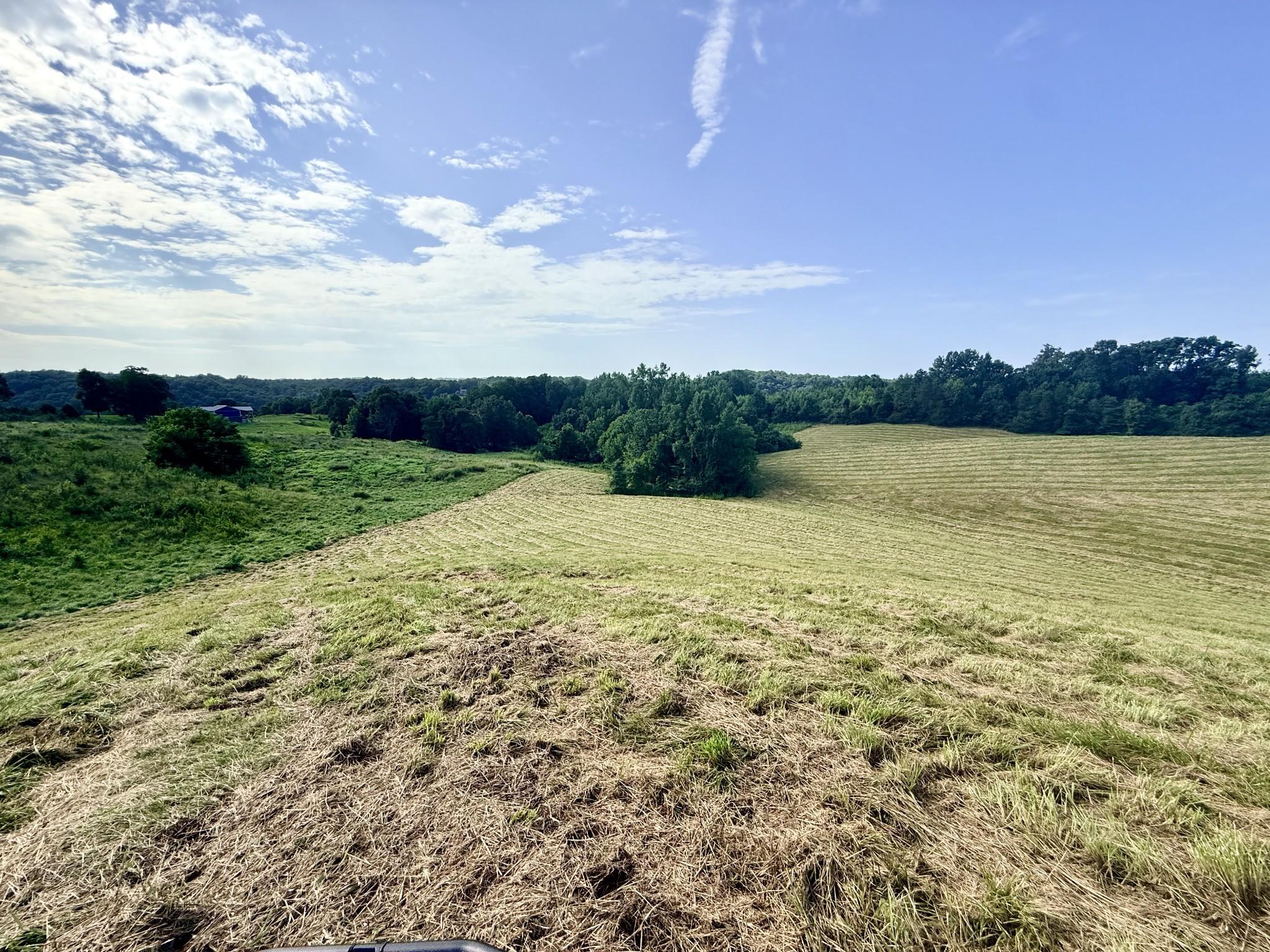 Image 4 Image 4