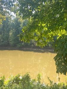 380 Duck Blind Rd