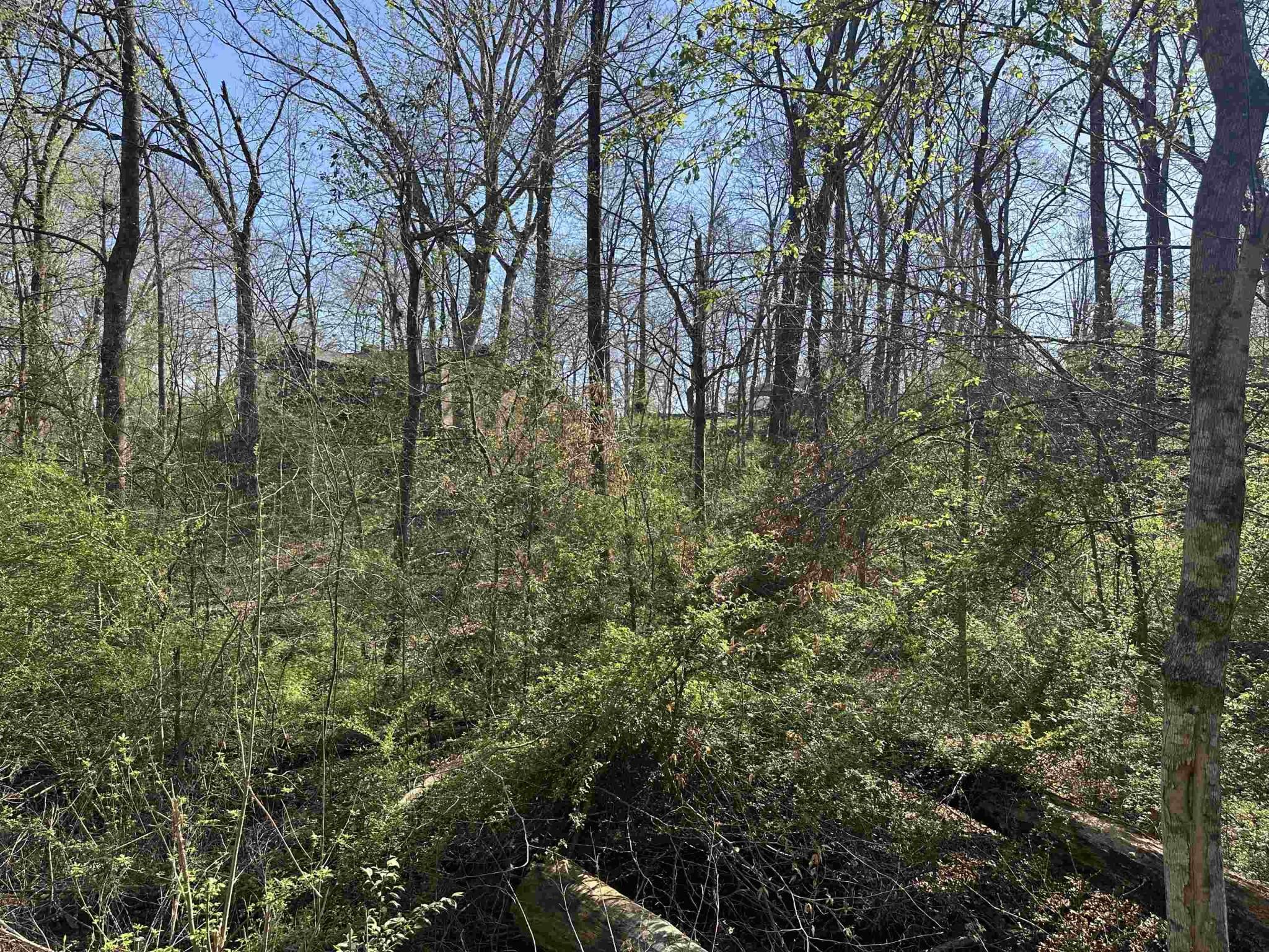 Image 3 Image 3