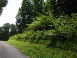 0 .58ac Sloan Rd
