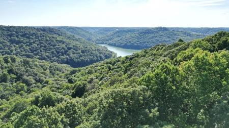 3 Savannah Dr