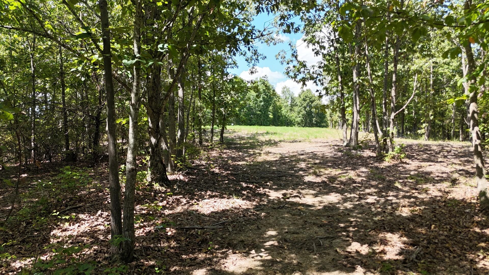 Image 1 Image 1