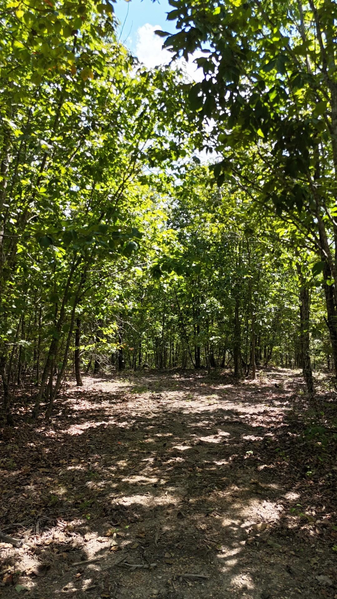 Image 3 Image 3