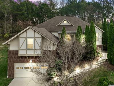 113 Lake Point Ct