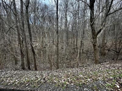 0 Lake View Dr
