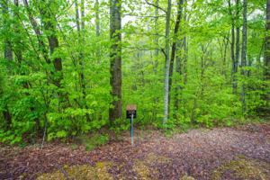 306 Woodcrest Dr