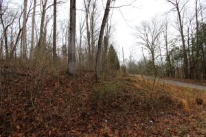 209 Chambers Cove Rd
