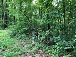 0 Dogwood Pl (Lots173&174)