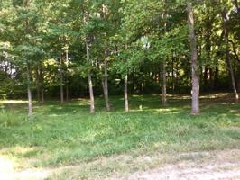 4 Woods Lake Rd