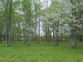 15 Woods Lake Rd