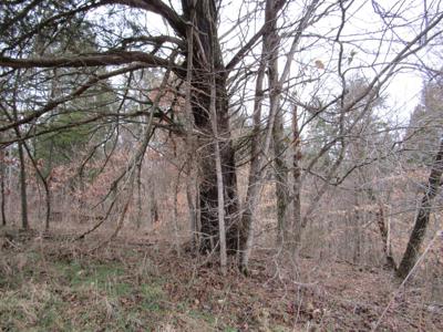 0 Holly Bend Drive