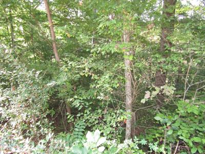 0 Cedar Hill rd