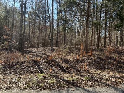 0 Green Meadow Dr