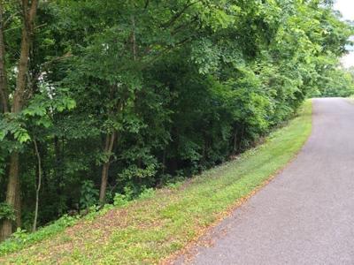 256 Lola Dr