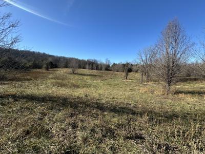 0 Cane Creek Cummingsville Rd