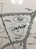 0 Cunningham Lane