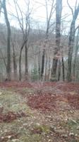 0 Skyway Dr
