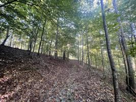 0 Shasteen Ridge Road