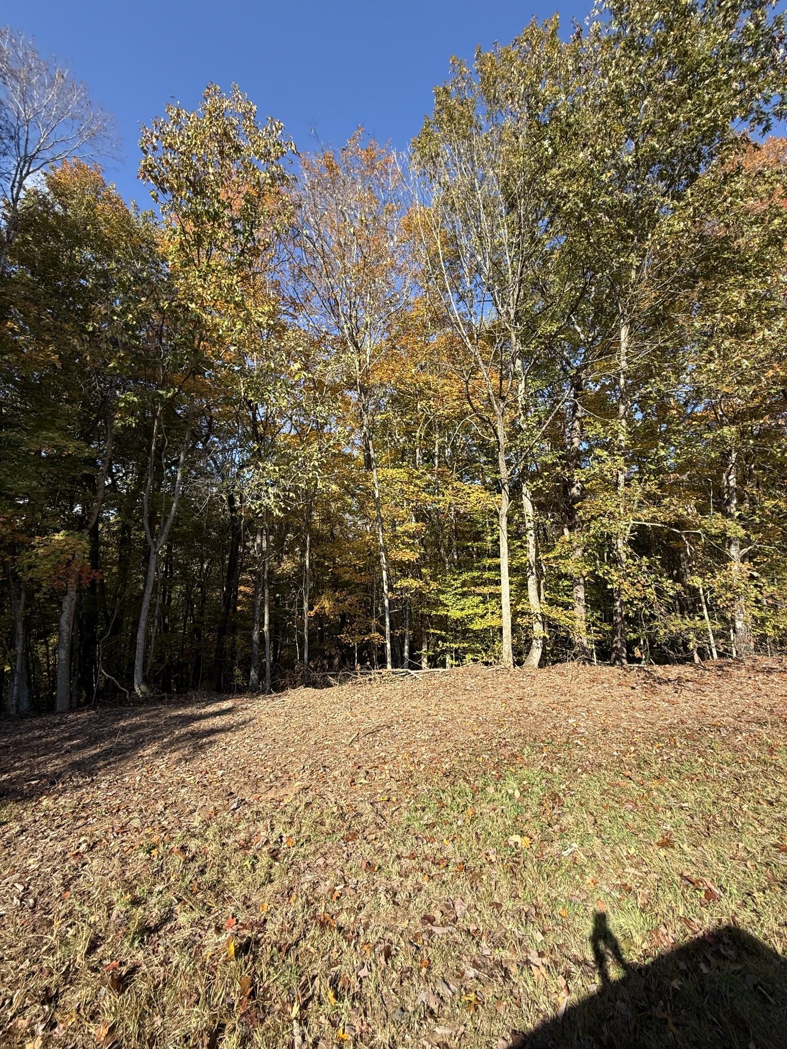 Image 1 Image 1