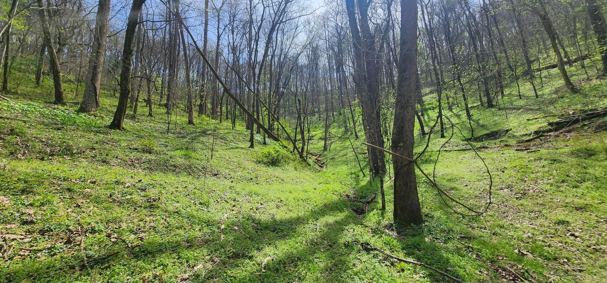Image 4 Image 4