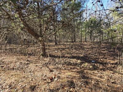 0 Bluff Point Ridge