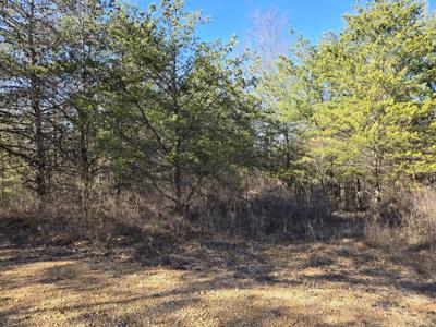 0 Bluff Point Ridge