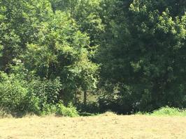 1 Henry Boyd Stone Ln Celina TN 38551