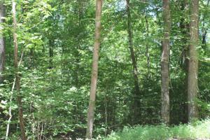 146 Crestview Drive 