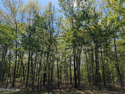 0 Cumberland Lakes Drive