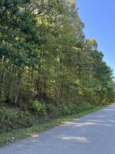 0 Sandys Camp Rd