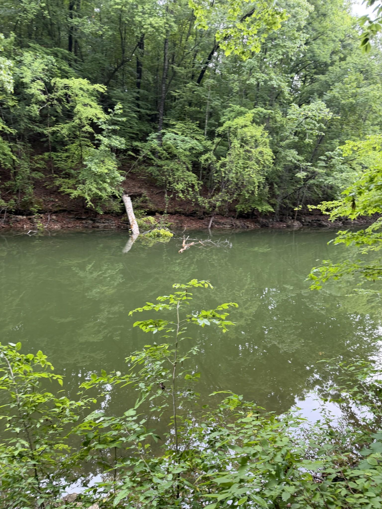 Image 4 Image 4