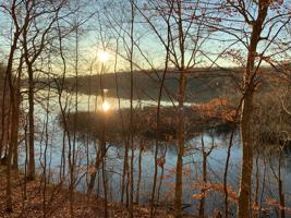 0 Cub Creek Rd