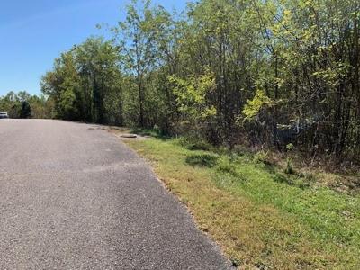 0 Davidson Rd Lot 43