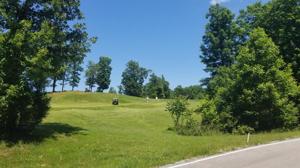 0 Coves Pointe Rd