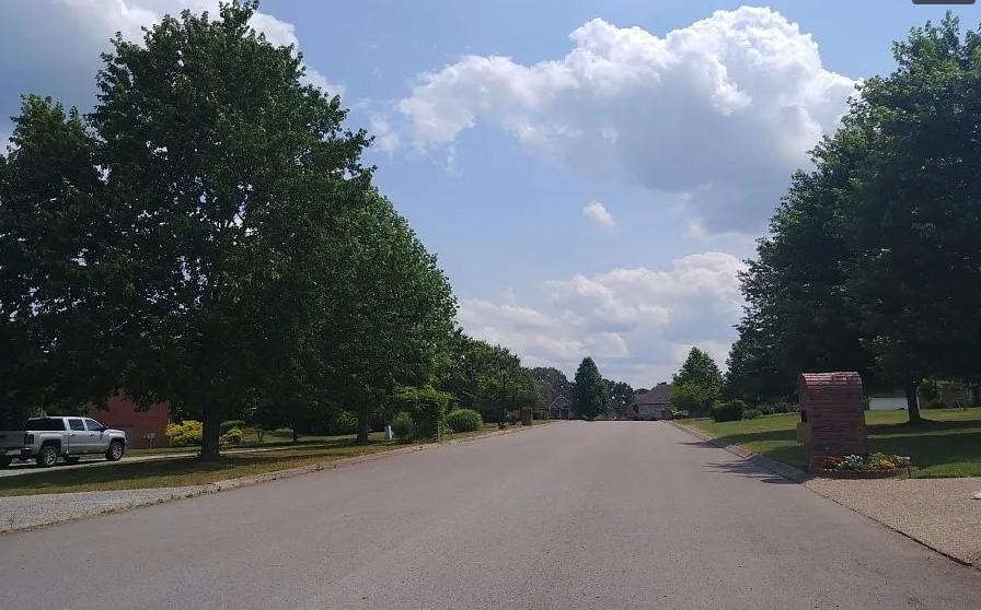 Image 4 Image 4