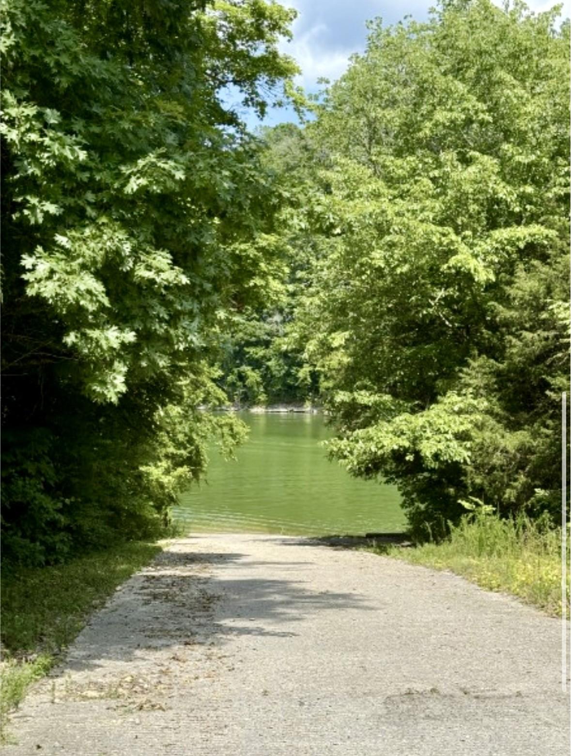 Image 4 Image 4
