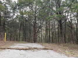 0 Austin Bottom Road