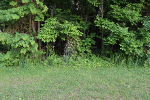 10 Fox Hl Rd Lot #10