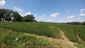 0 Cat Creek Road