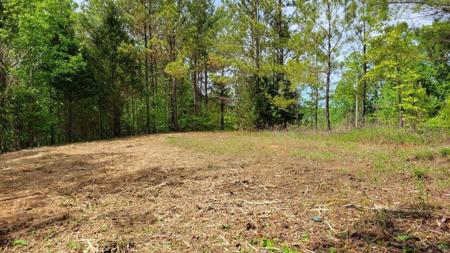 0 Indian Mound Rd