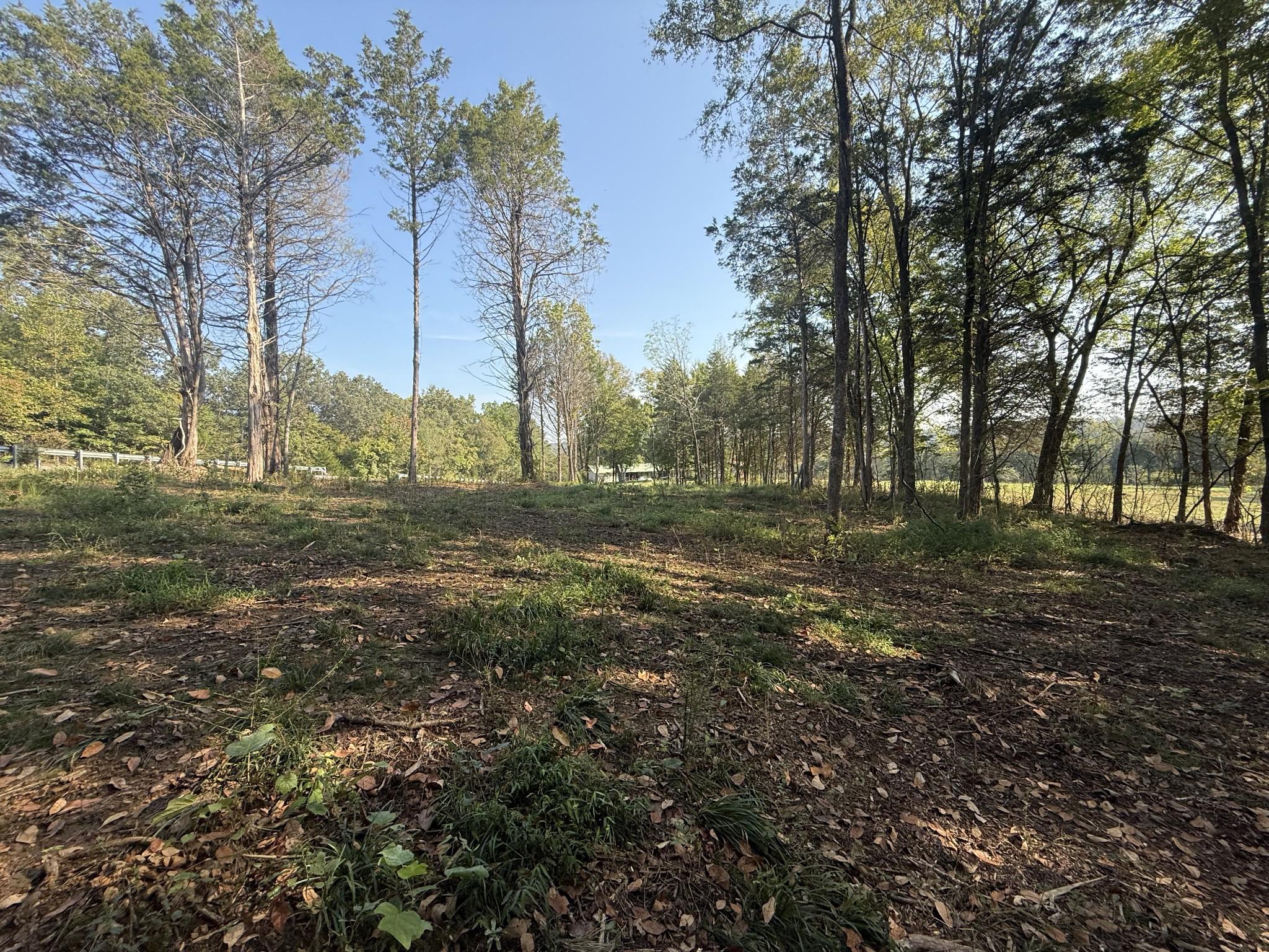 Image 1 Image 1